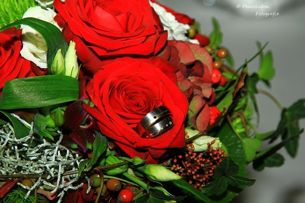 Ringe-b.jpg